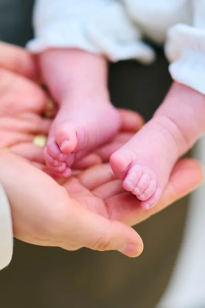 お宮参り 特別な瞬間