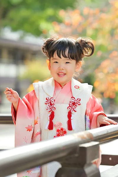 プロカメラマンによる撮影風景